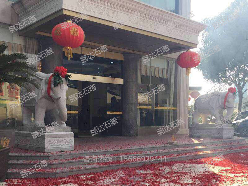微信图片_201906060840002.jpg